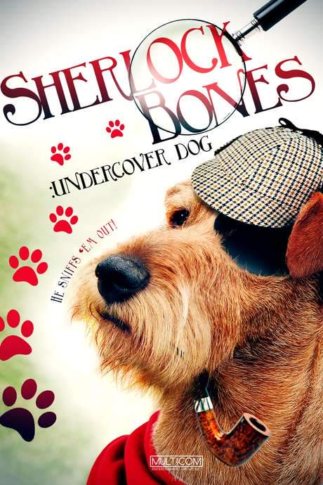 Sherlock: Undercover Dog